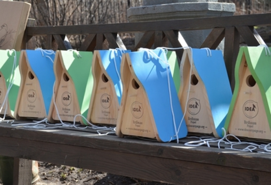 Wining birdhouses of IDEA design competition installed in Moscow
