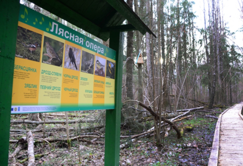 IDEA birdhouses installed in Belarus