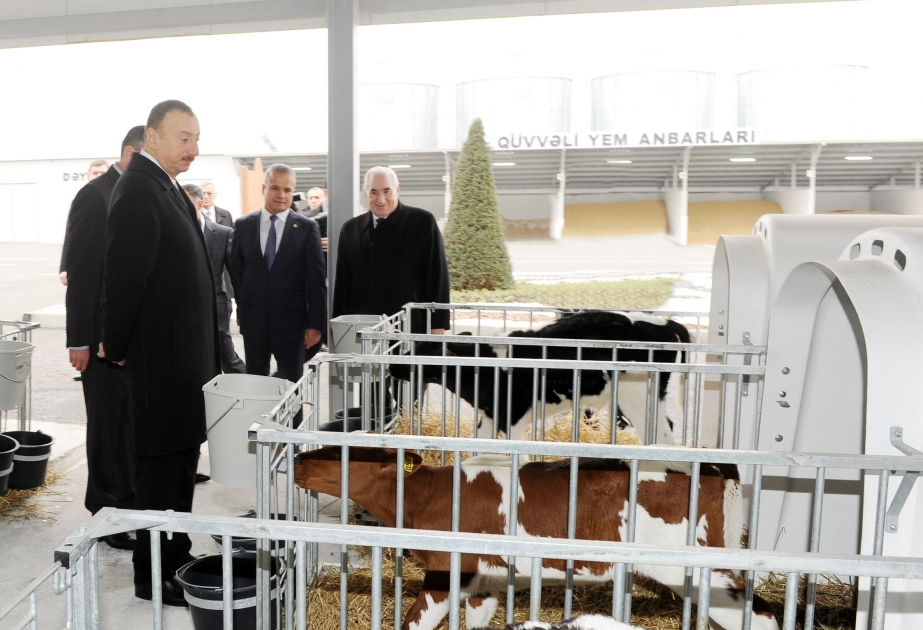 Prezident İlham Əliyev Qəbələ heyvandarlıq-südçülük kompleksinin açılışında iştirak etmişdir