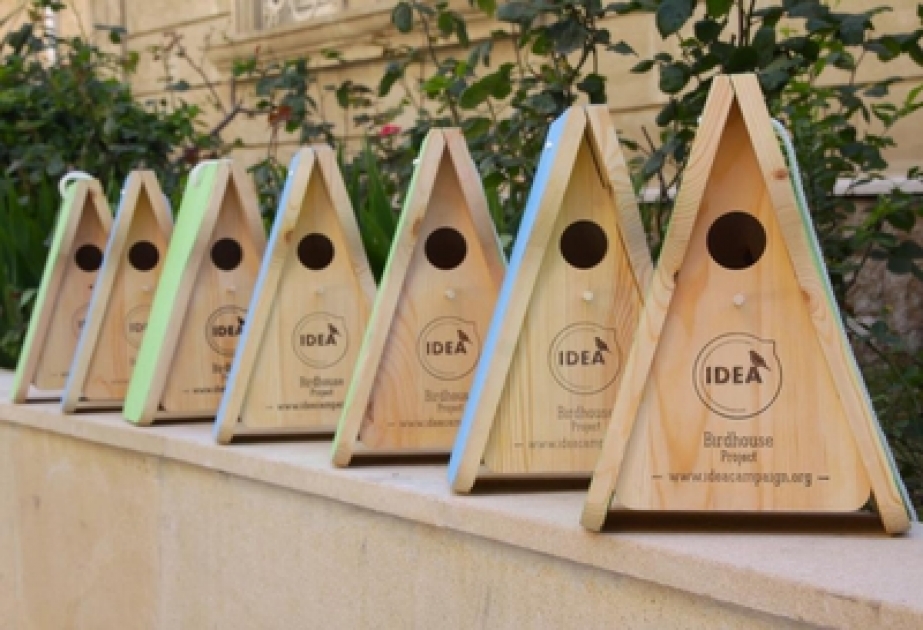 IDEA installed birds’ houses in numerous places in Baku
