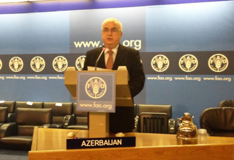 Azerbaijani Minister of Agriculture attends 38th Session of FAO Conference in Italy