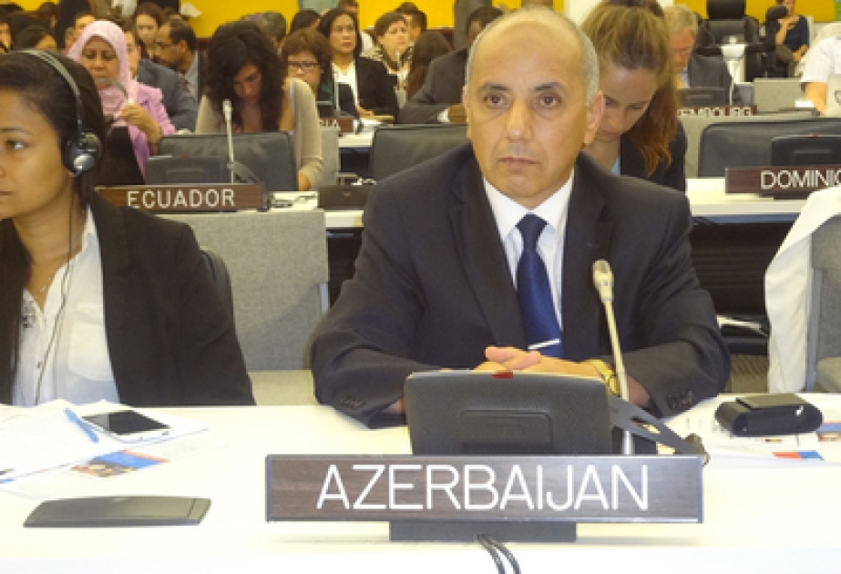 Azerbaijani delegate attends UN conference on “Convention on the rights of persons with disabilities”