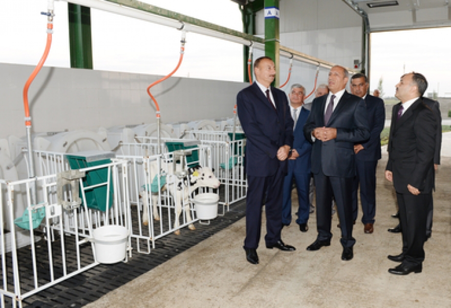 President Ilham Aliyev opens Agat-Agro cattle breeding complex in Agjabadi VİDEO