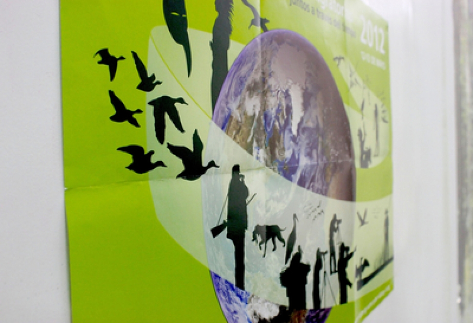 Green Conversation Club с успехом продолжает свою деятельность