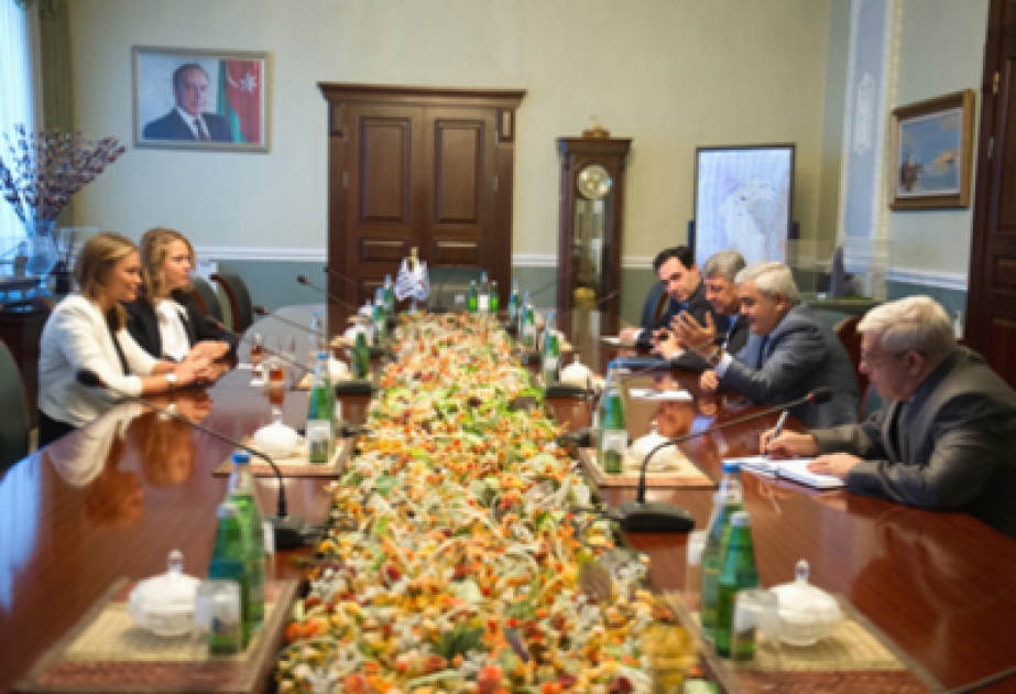 SOCAR, World Economic Forum discuss prospects for cooperation