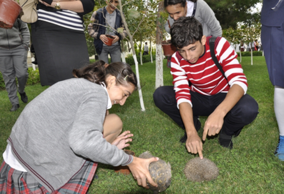 Sumqayıtda Beynəlxalq Heyvanları Müdafiə Günü ilə əlaqədar tədbir keçirmişdir