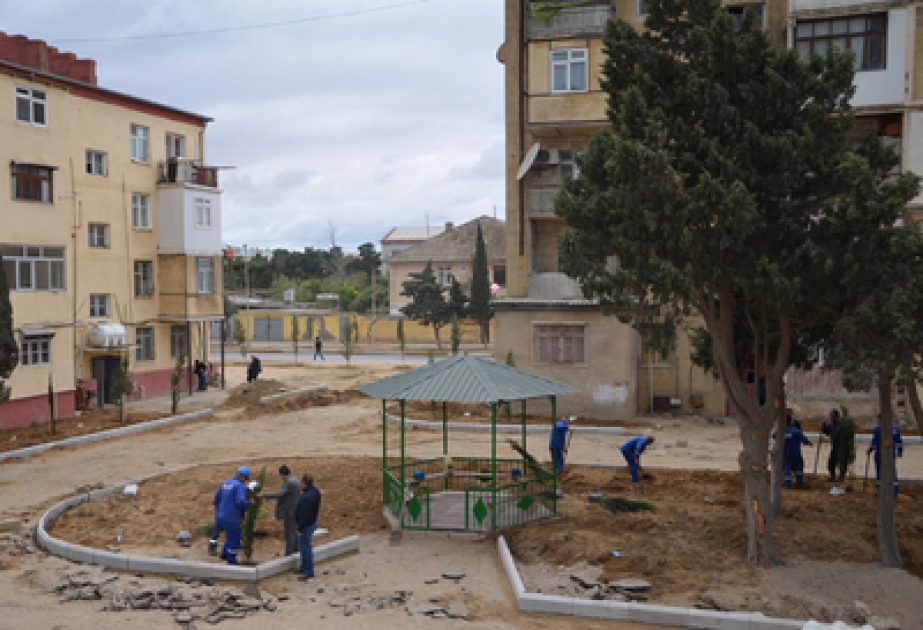Paytaxtın yeni yaradılan rayonunda ağacəkmə aksiyası keçirilmişdir