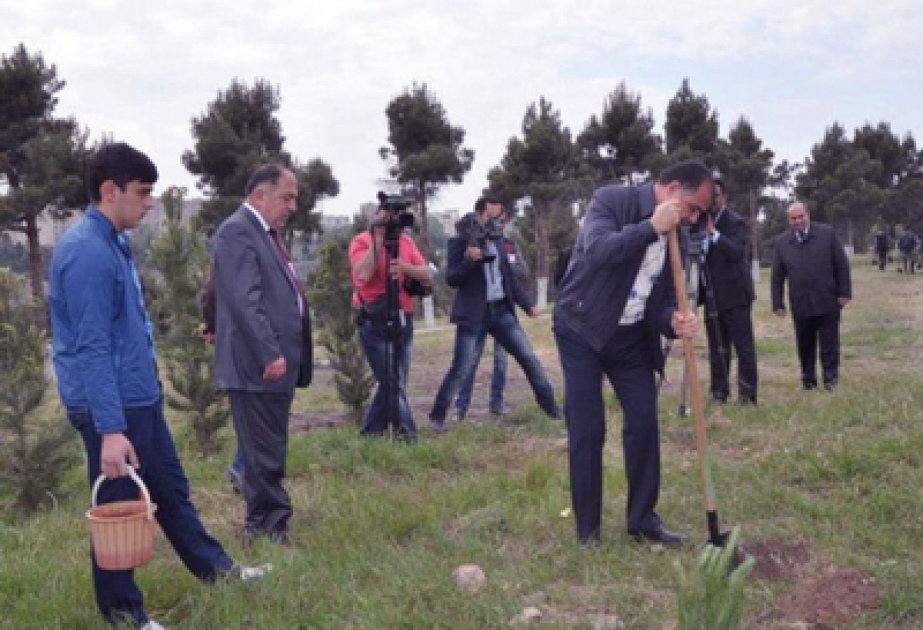 Gəncəlilər ölkə başçısının ad günü şərəfinə ağacəkmə aksiyasına başlamışlar