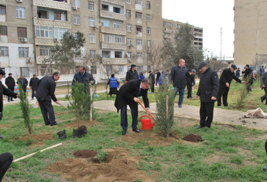 Suraxanı rayonunda növbəti ağacəkmə kampaniyası keçirilmişdir