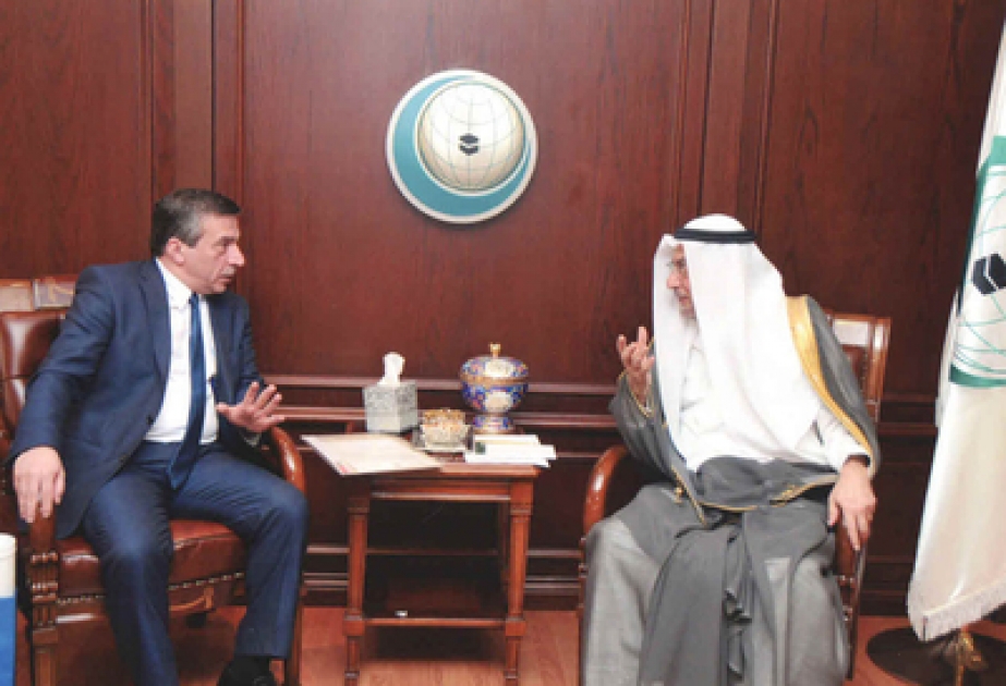 مناقشة آفاق العلاقات بين منظمة التعاون الإسلامي وأذربيجان