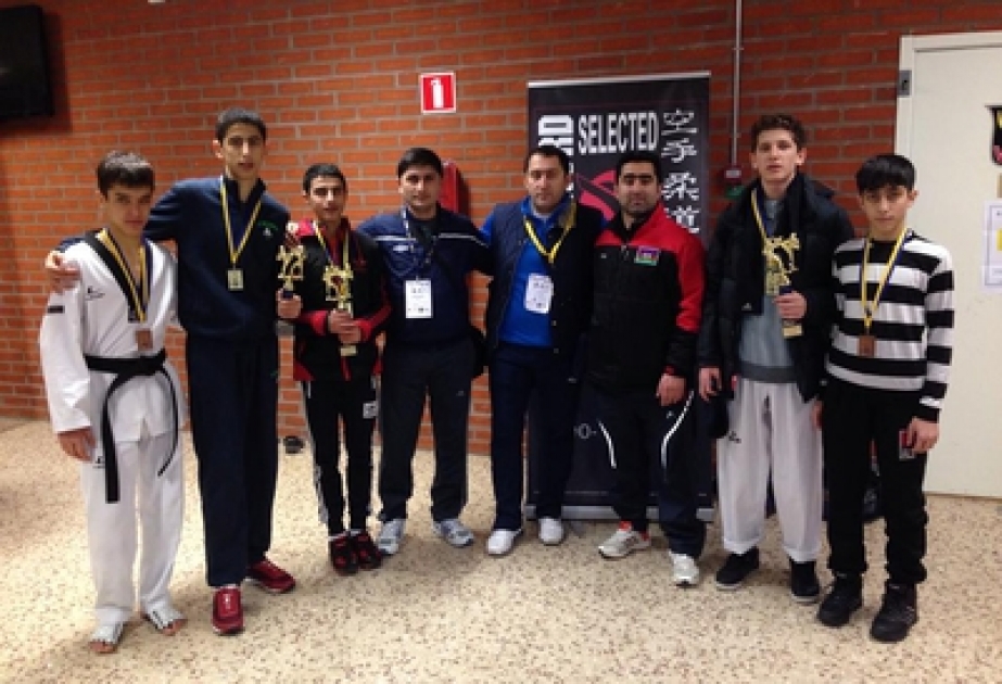 Young Azerbaijani taekwondo fighters win six medals in Sweden