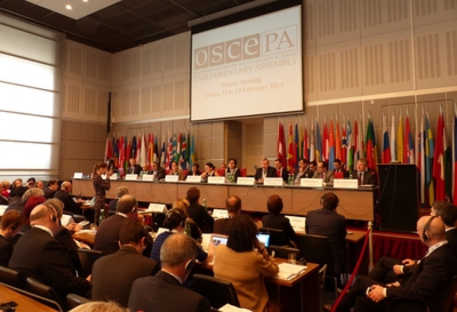 Azerbaijani MPs make remarks at OSCE PA winter session