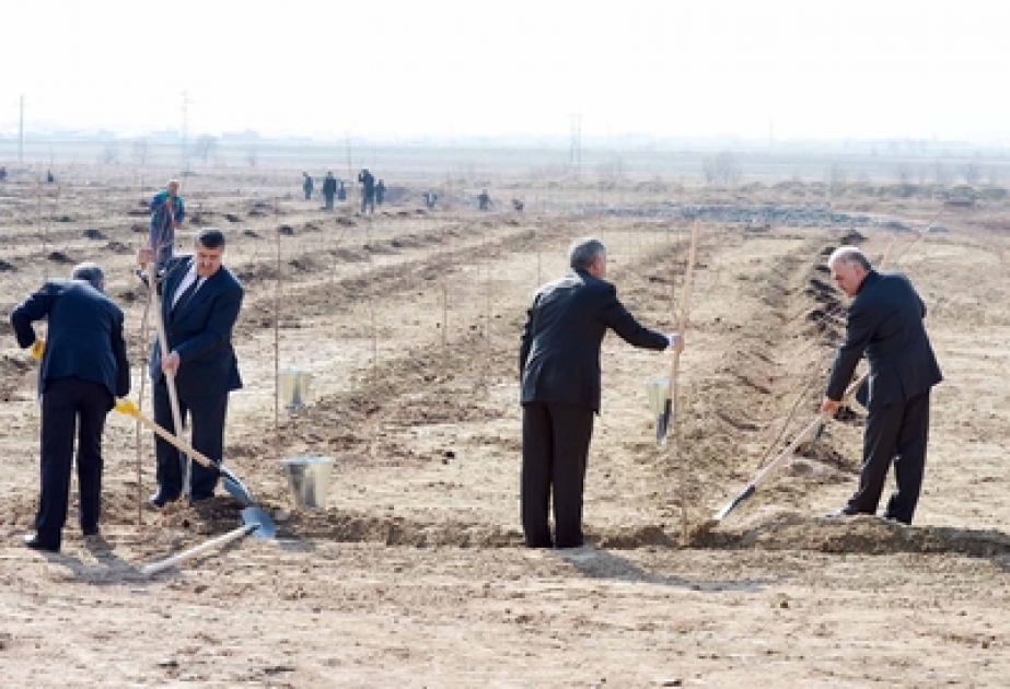 Naxçıvanda yaz mövsümünün ilk iməciliyi keçirilmişdir