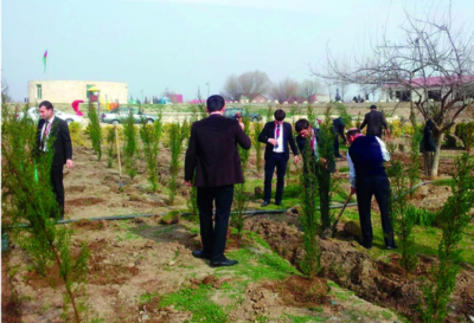 Сальянский Филиал “FINCA Azerbaijan” провел Акцию Озеленения