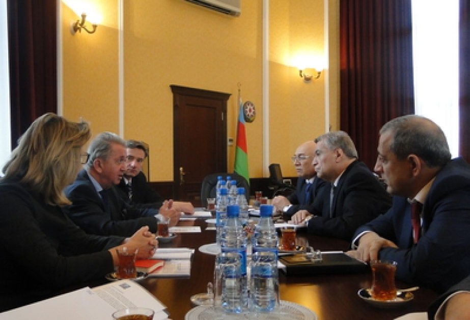 Azerbaijani Energy Minister meets International Peace Institute delegation
