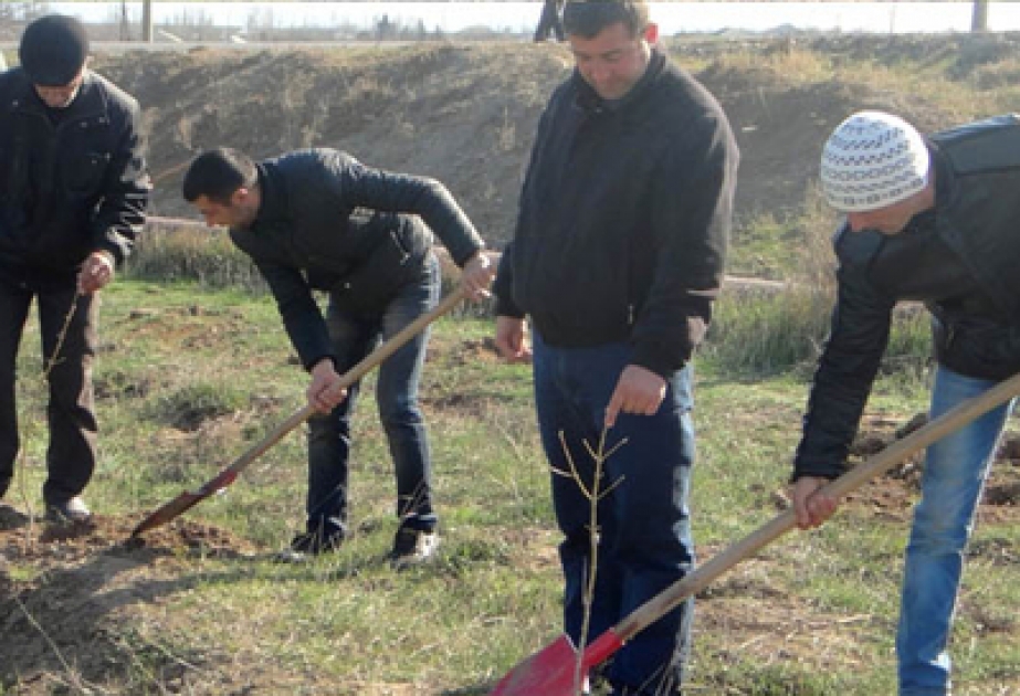 Ağstafada ağacəkmə kampaniyası keçirilmiş və təmizlik işləri görülmüşdür