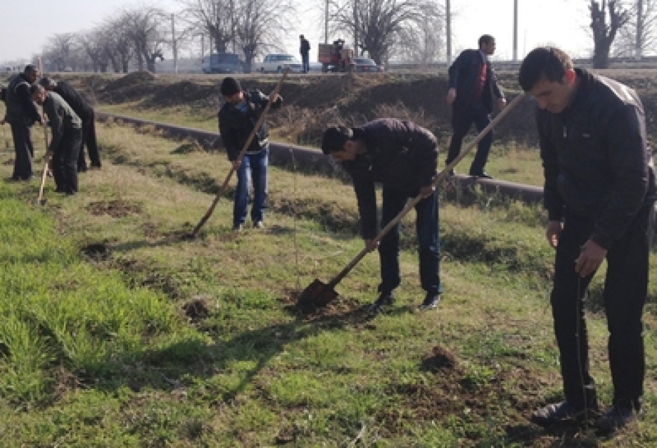Ağstafada yaz iməcilikləri