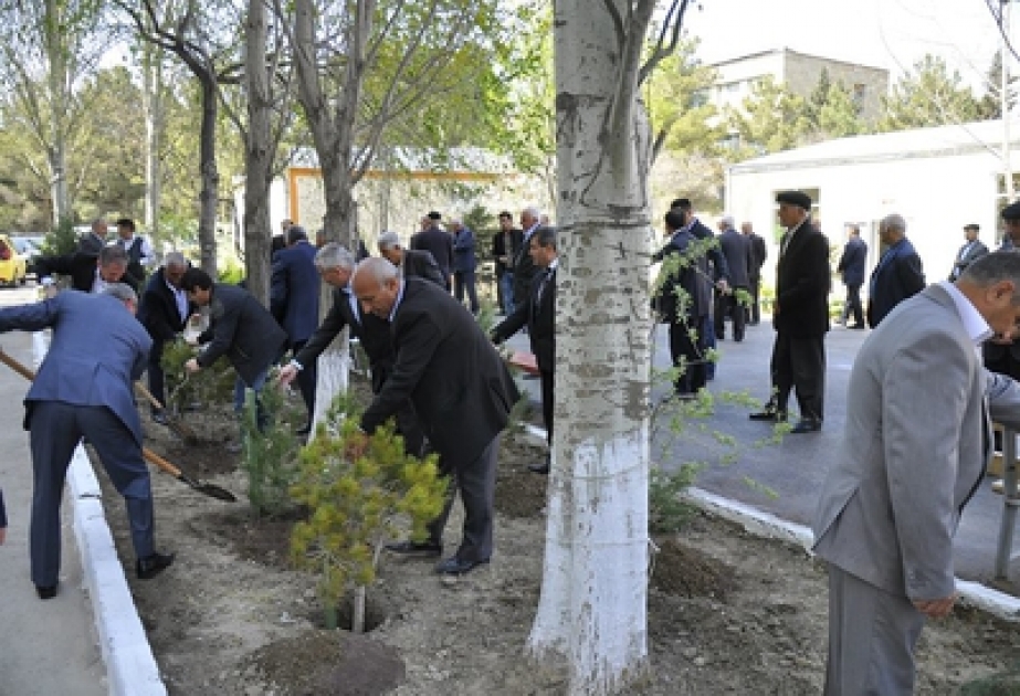 Sumqayıt kimyaçıları növbəti iməcilik kecirmişlər