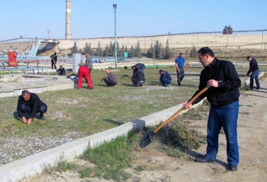 “Ekol Mühəndislik Xidmətləri” QSC-nin istehsalat sahələrində növbəti iməcilik keçirilmişdir