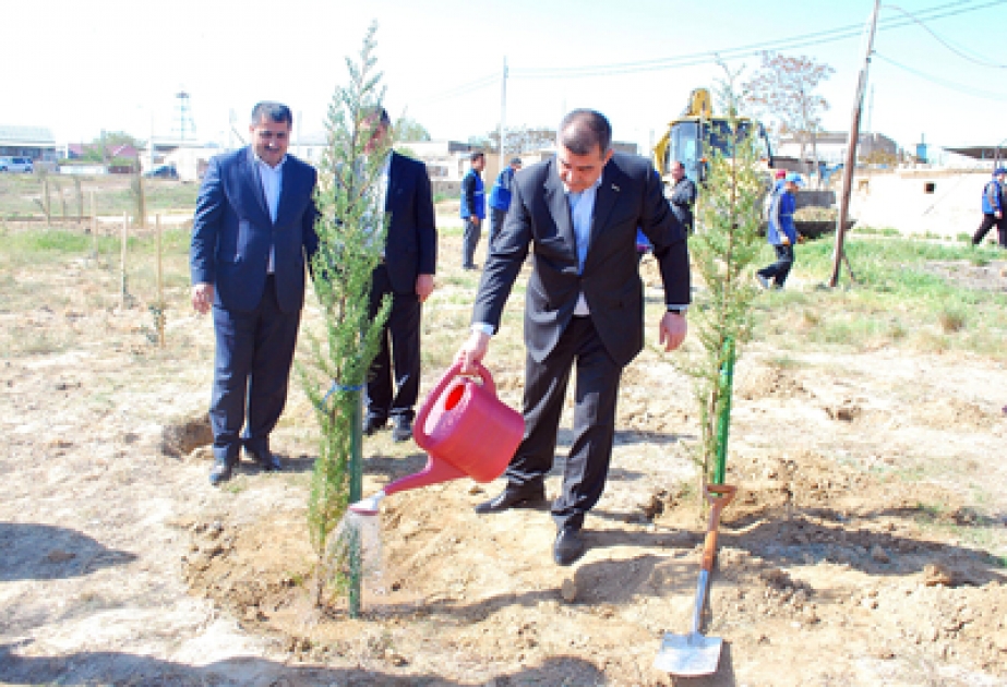 Ümummilli lider Heydər Əliyevin anadan olmasının 91 illiyi münasibətilə Suraxanıda ağacəkmə kampaniyası davam edir