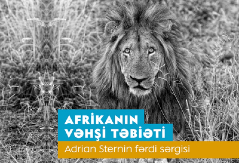 Centre Heydar Aliyev : exposition «La nature de l’Afrique» d’Adrian Stern