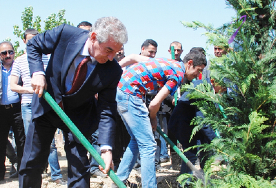 Ümummilli lider Heydər Əliyevin anadan olmasının 91-ci ildönümü münasibətilə ağacəkmə aksiyası keçirilmişdir
