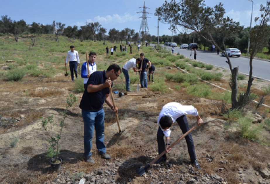 “Yaşıl gələcək” adlı ekoloji aksiya