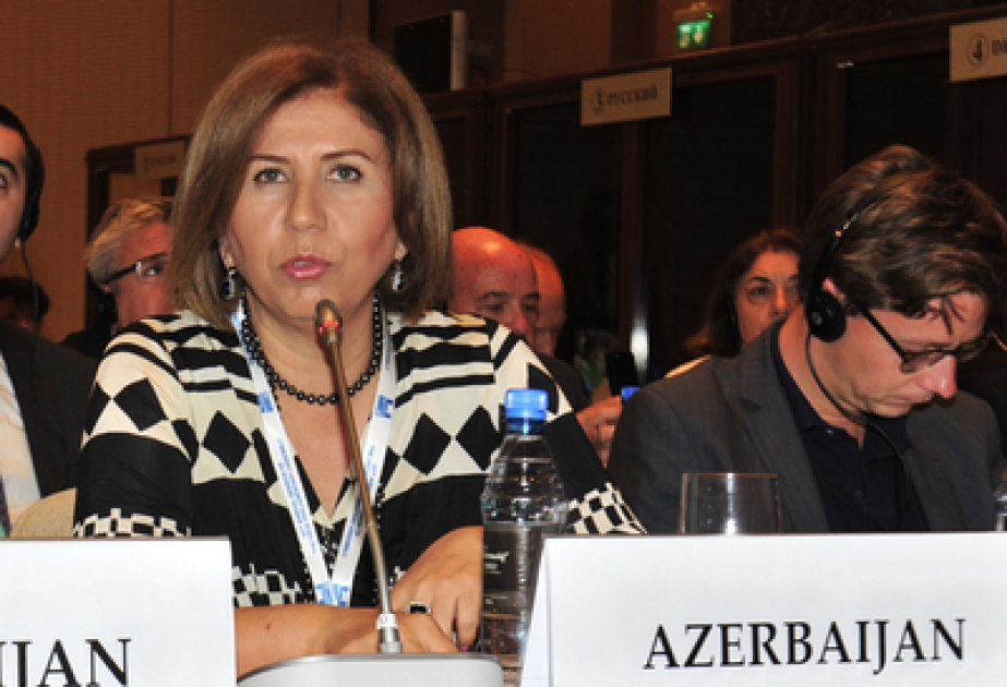 Head of Azerbaijani delegation responds to groundless claims of Armenian MP at OSCE PA session in Baku