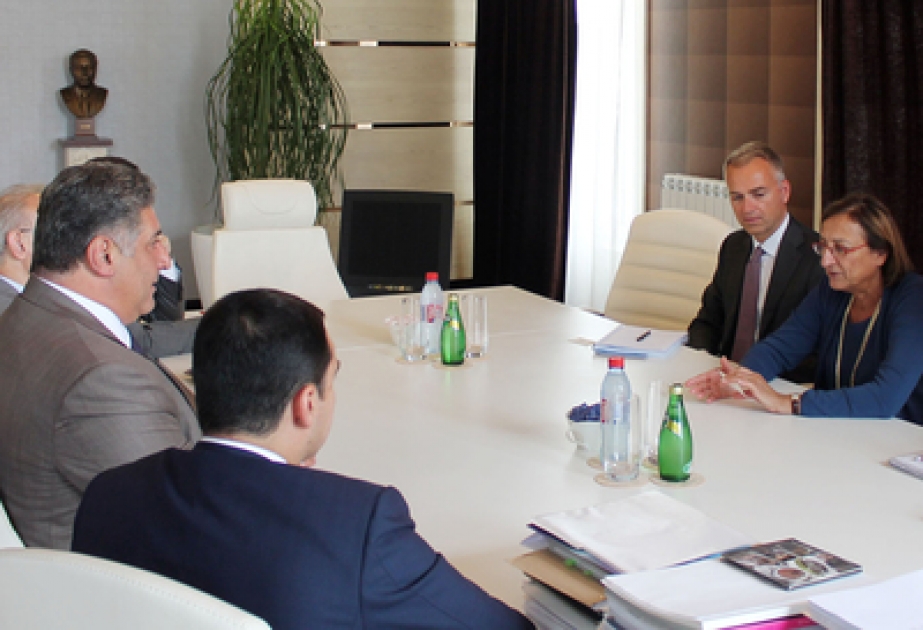 Azerbaijani Minister of Youth and Sports meets Deputy Secretary General of Council of Europe