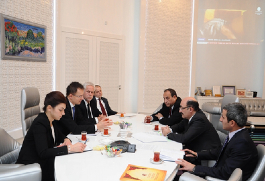 Azerbaijan, Hungary discuss cultural relations