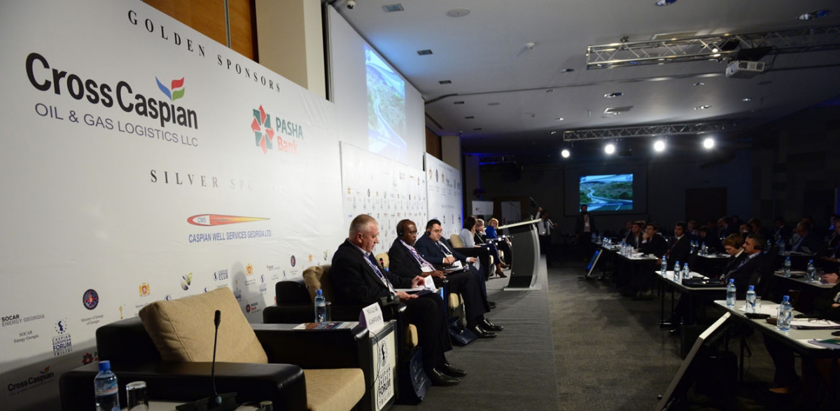 В Тбилиси состоялся Второй международный Caspian Energy Forum-2014