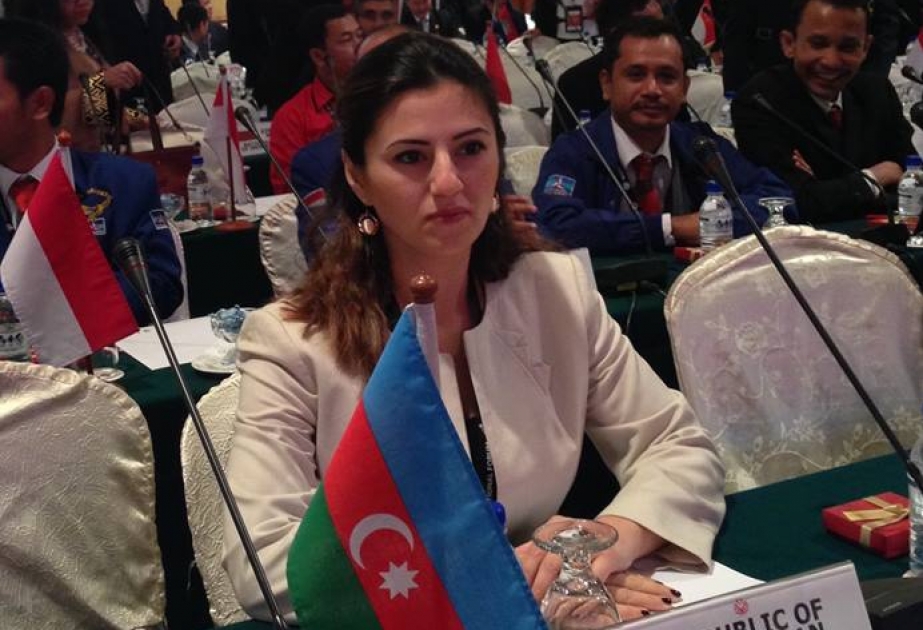 Azərbaycan bir çox ölkələr üçün uğurlu inkişaf formulu kimi təqdim edilir