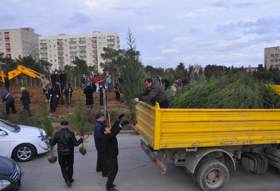 “Yaşıl marafon” layihəsi Səbail rayonunda uğurla davam edir