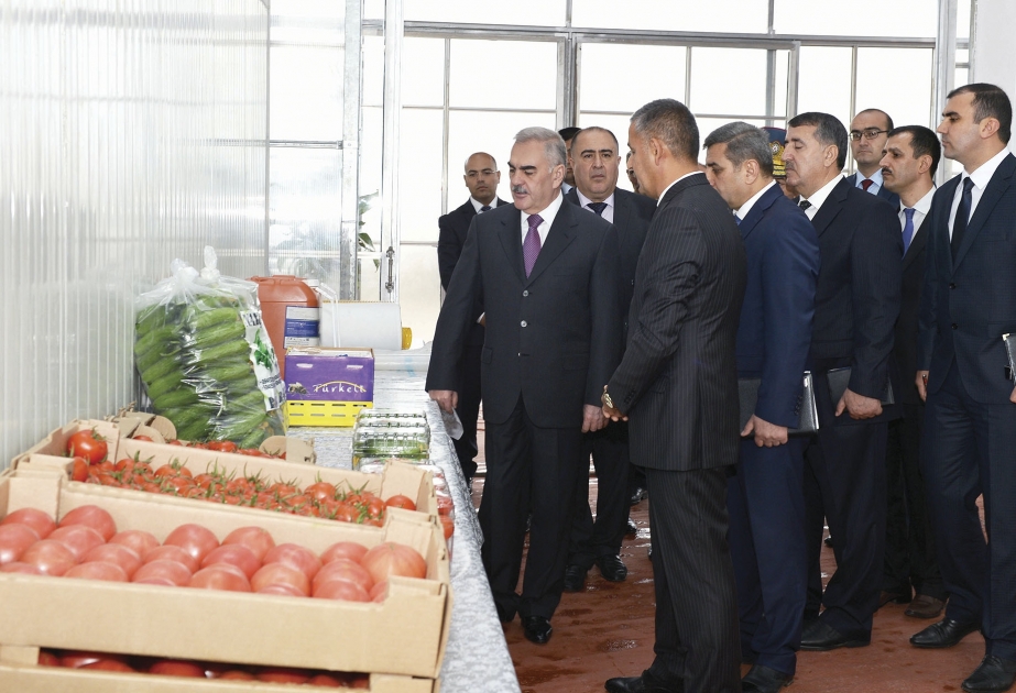 “Naxçıvan Bağları” Tərəvəz Məhsulları İstixana Kompleksi istifadəyə verilib