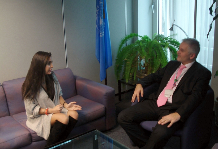 Vice-President of Heydar Aliyev Foundation meets Director of UNEP Regional Office for Europe