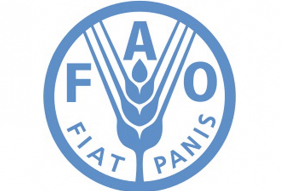 FAO to open contact office in Moscow