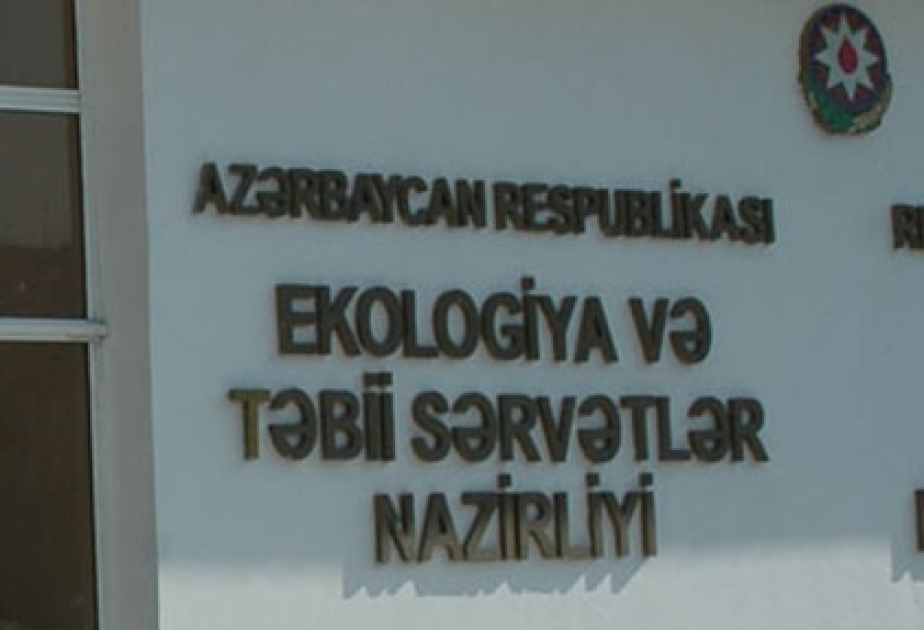 Qanunsuz balıq ovladıqlarına görə məsuliyyətə cəlb edildilər