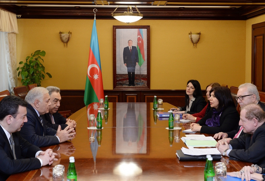 PACE Monitoring Committee co-rapporteurs meet Speaker of Azerbaijan Parliament