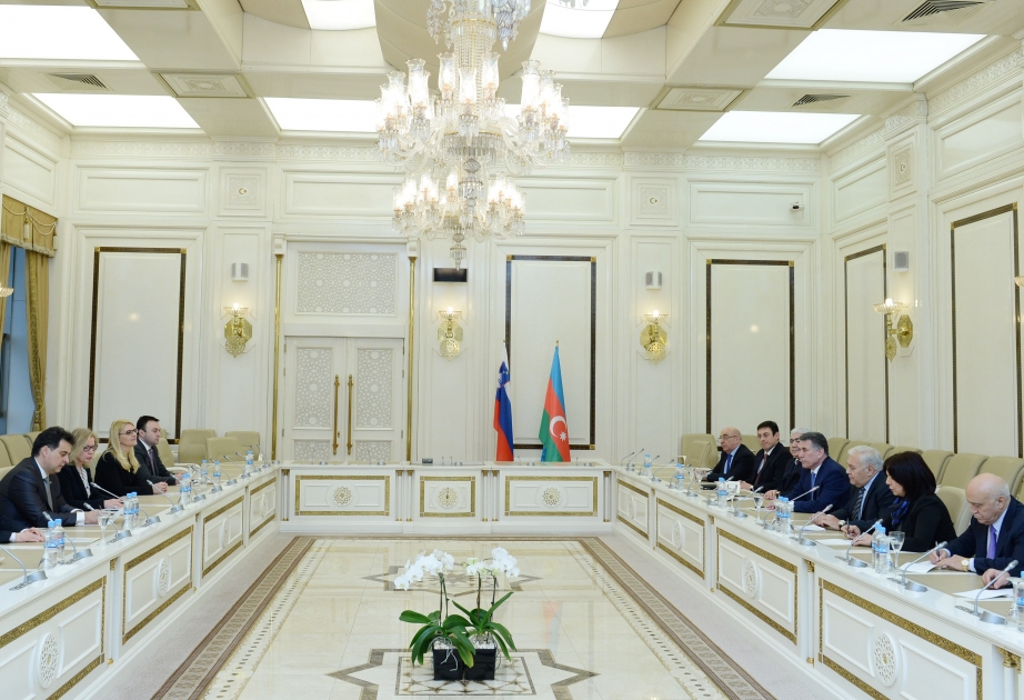 Межпарламентские связи играют важную роль в развитии азербайджано-словенских отношений