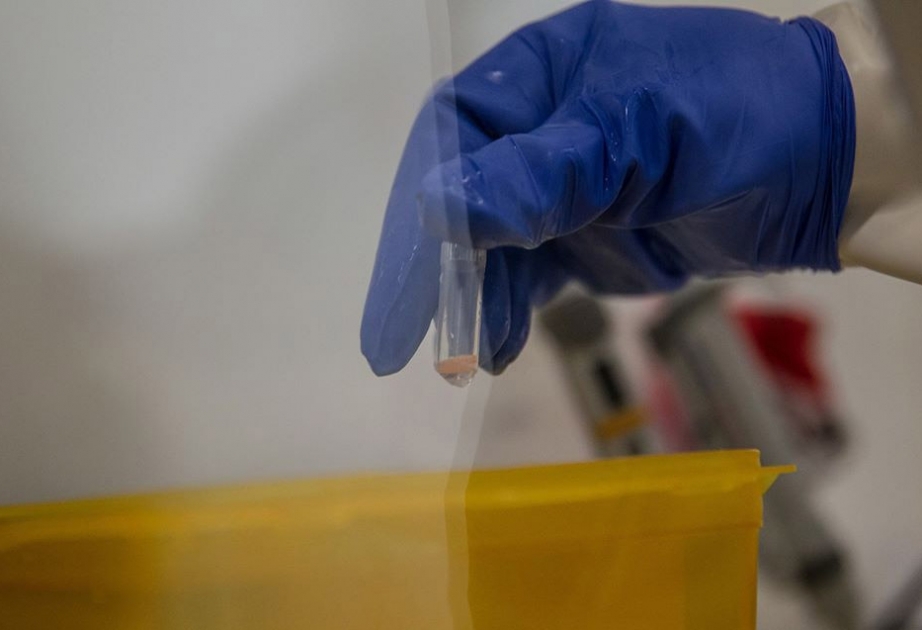 Qvineyada Ebola əleyhinə vaksin sınaqdan keçiriləcək