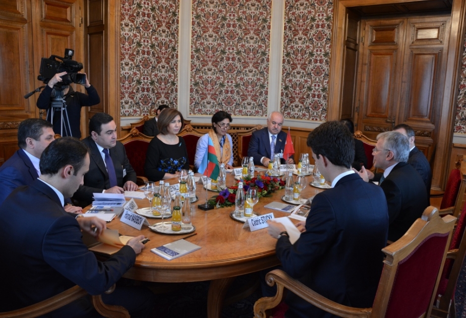 Azerbaijan, Switzerland enjoy successful cooperation VIDEO