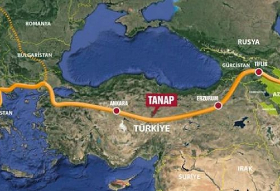 TANAP's Turkish section construction to begin on March 17: Turkey’s Energy Minister