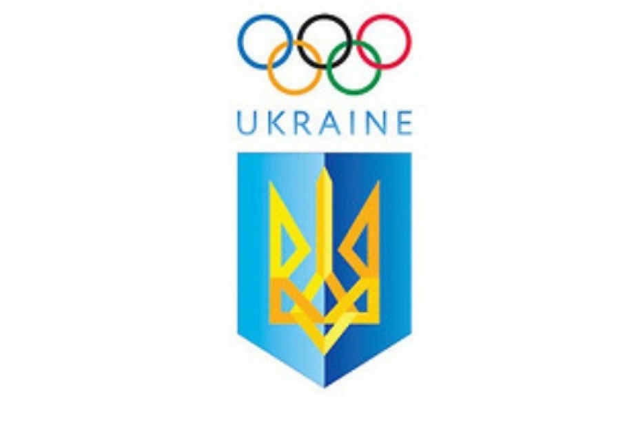 Состав украинской команды на Европейских играх «Баку -2015» может составлять 220-230 спортсменов