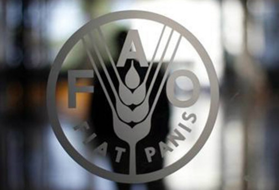 ФАО будет помогать фермерам справляться с последствиями стихийных бедствий