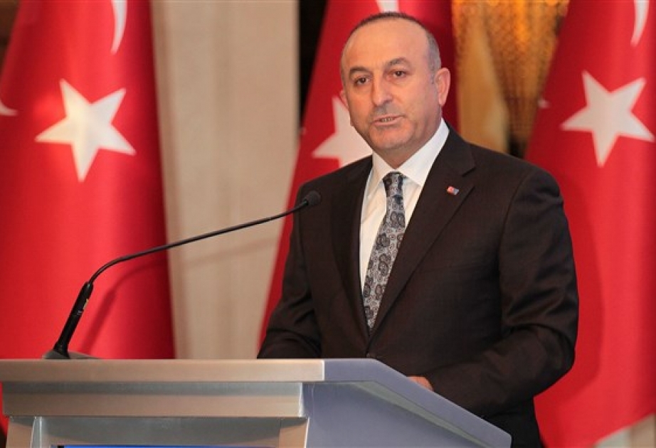 土耳其外交部长梅夫吕特·恰武什奥卢将对维尔纽斯进行访问