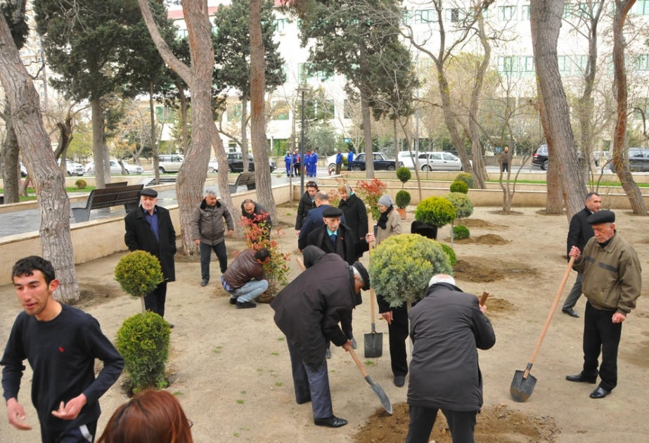 “Yaşıl marafon”un ikinci mərhələsi çərçivəsində Səbail rayonunda növbəti aksiya keçirilib