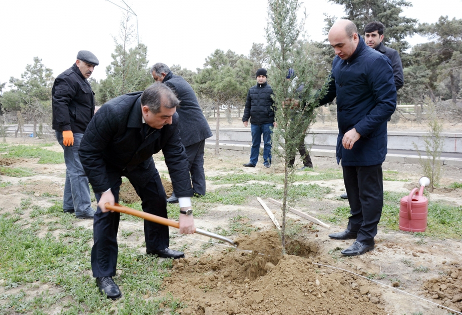 “Yaşıl marafon” Suraxanıda da davam edir