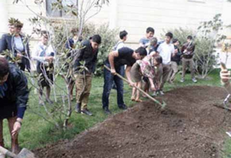 Məktəblilər yaşıllaşdırma aksiyasında iştirak ediblər