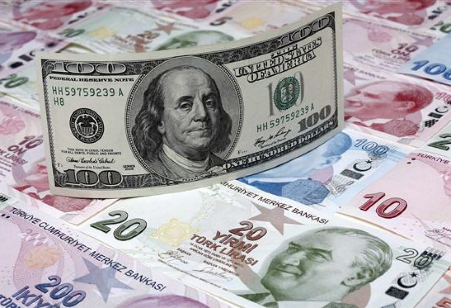 Türkiyədə dolların məzənnəsi tarixi maksimuma yüksəlib