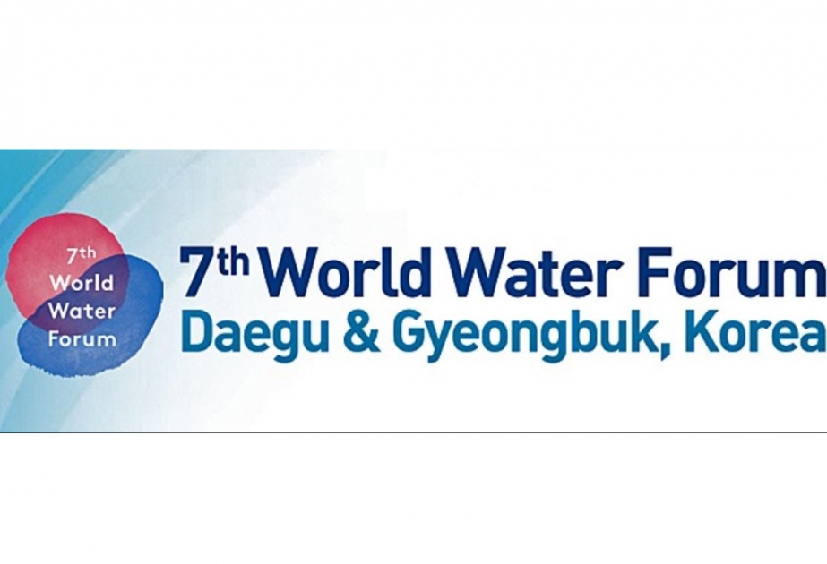 阿塞拜疆代表团参加第七届世界水论坛